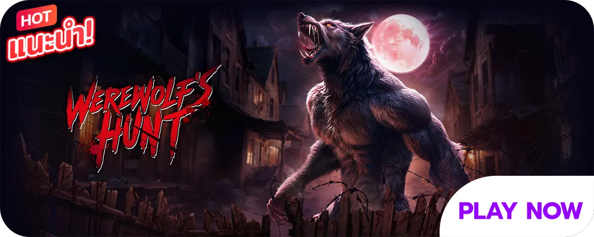 สล็อตแตกดี